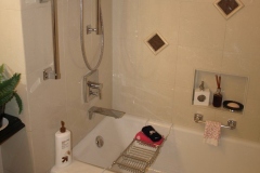 bathroom remodeling in Mundelein